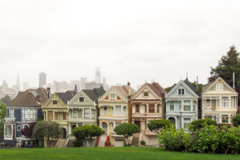 Painted Ladies