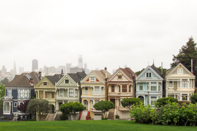 Painted Ladies