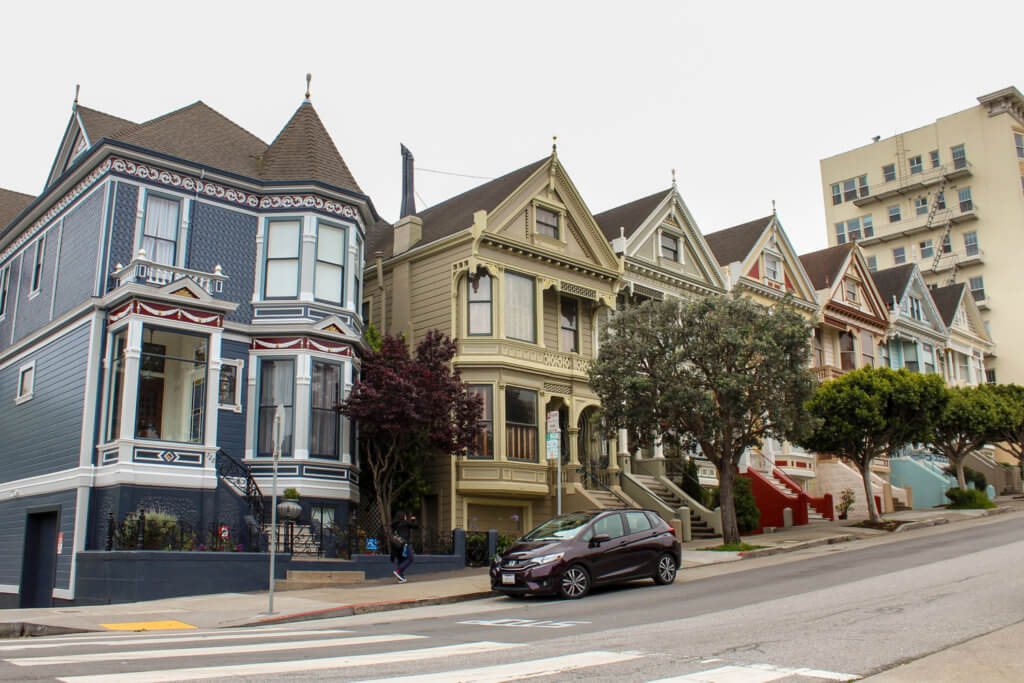 Painted Ladies
