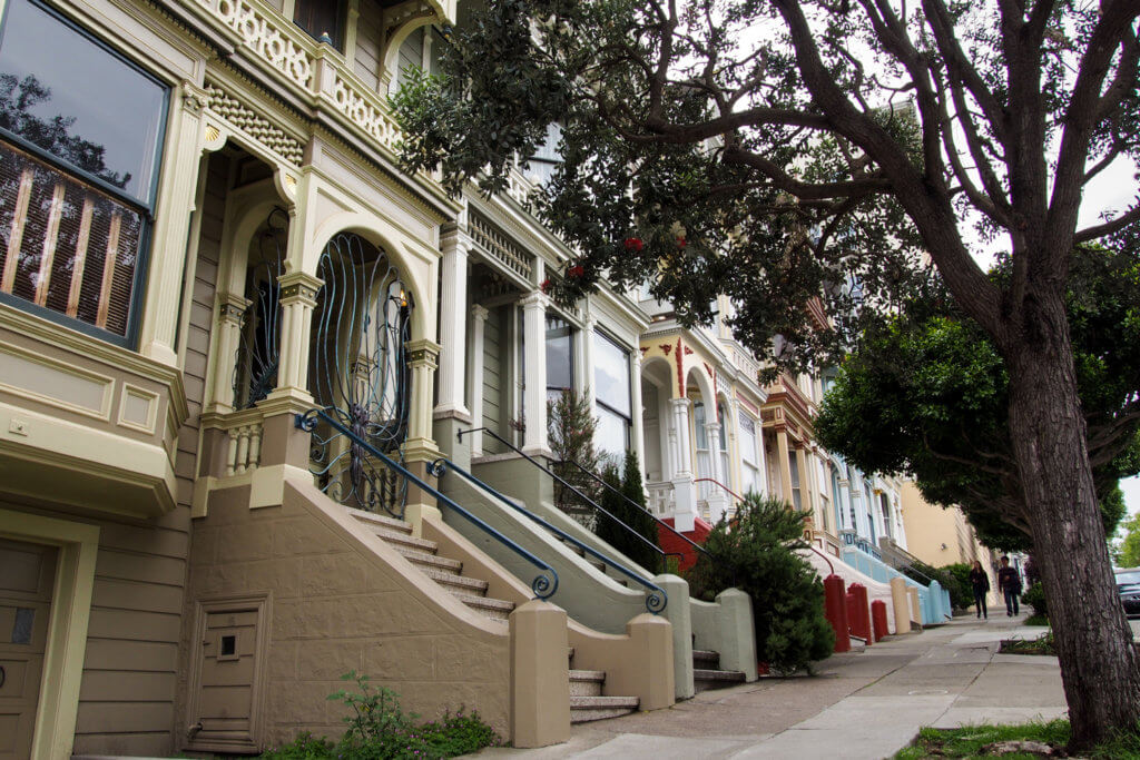 Painted Ladies zblízka