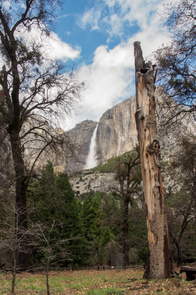 Nechaný napospas prírode