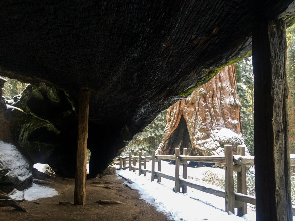 Bývalý hotel a stajne, to je Fallen Monarch