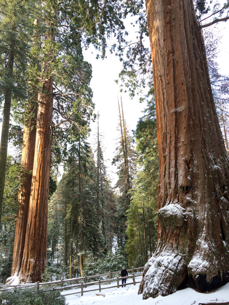 Aj Mates so svojou výškou je len krpec