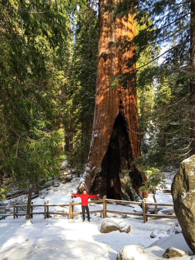 Takýto široký je ten strom