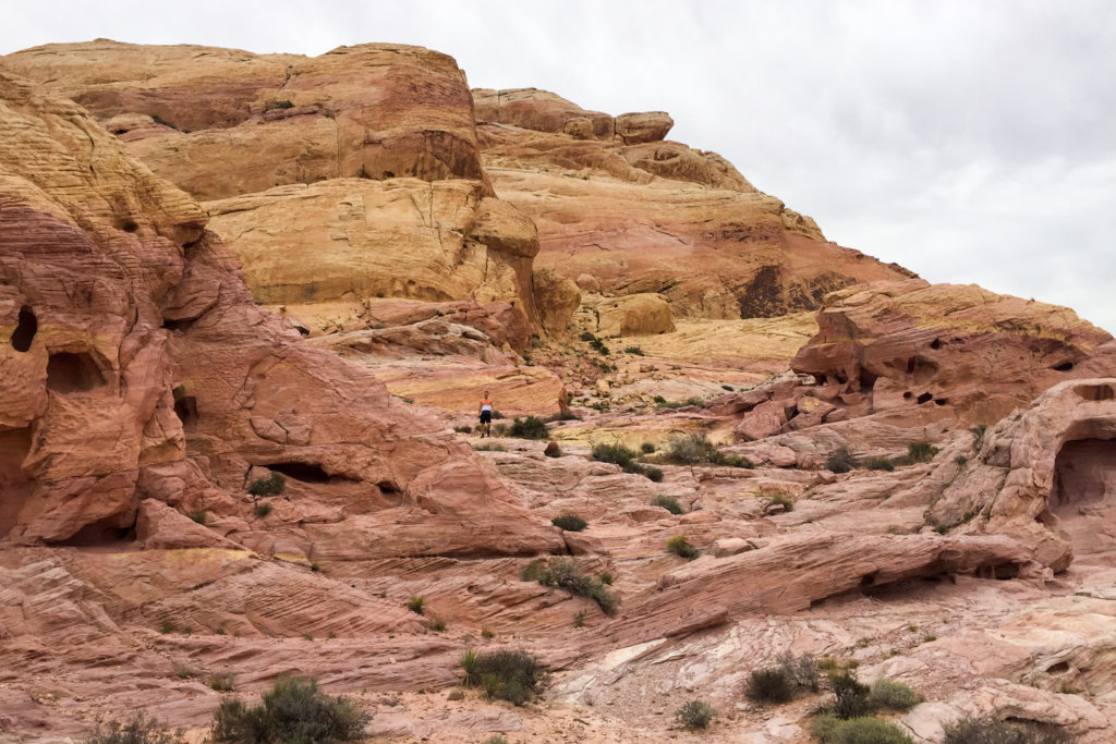 Nájdete do 5 sekúnd Jura?