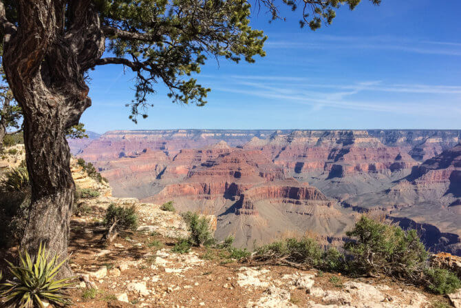 grand canyon