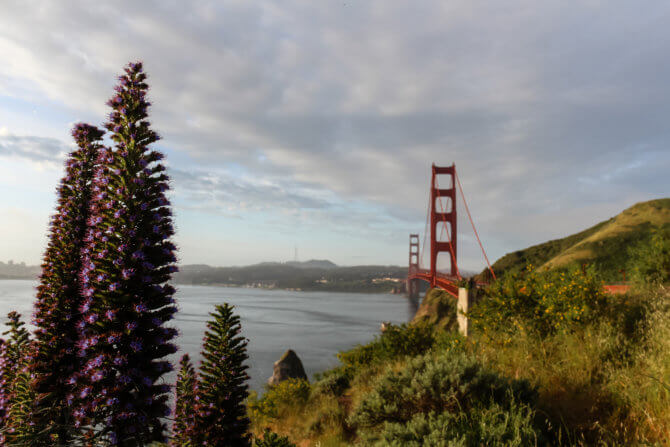 golden-gate
