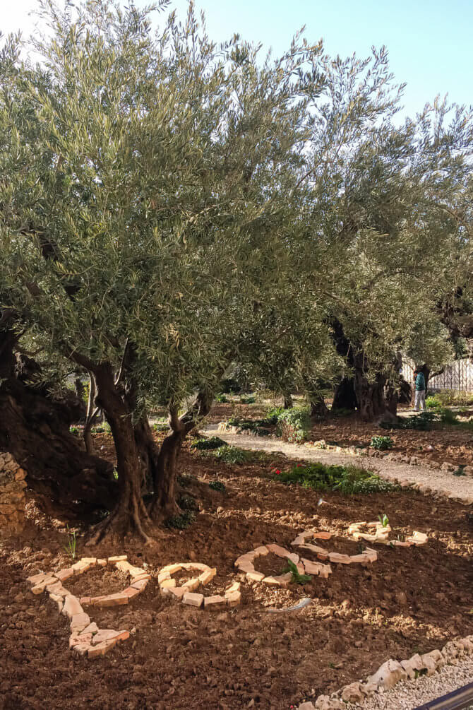 jeruzalem-getsemanska