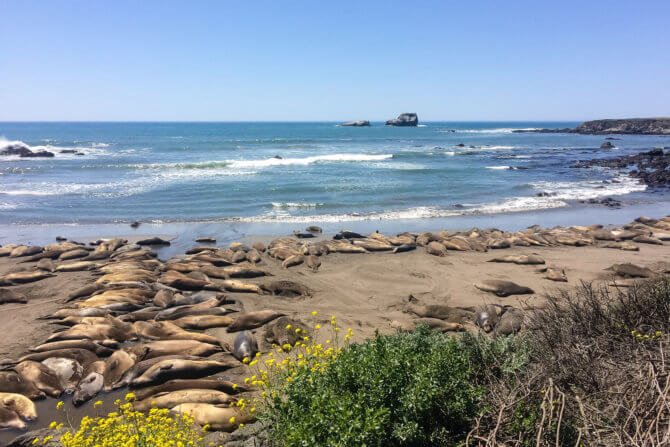 san-simeon