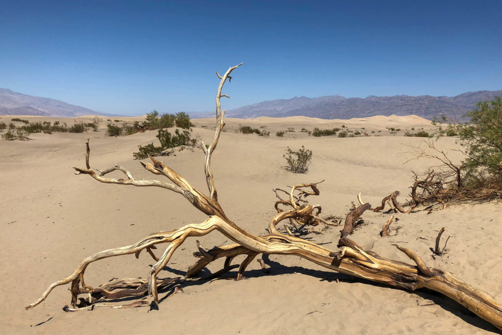 death valley