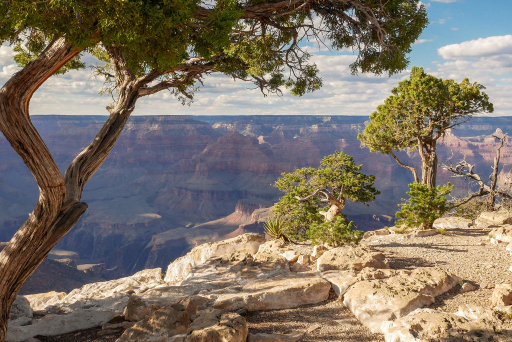 národné parky Ameriky grand canyon