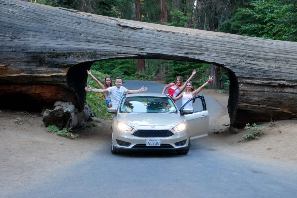 národné parky Ameriky sequoia