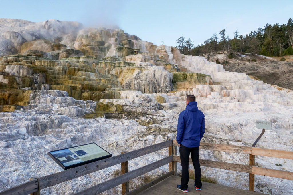 mammoth hot springs