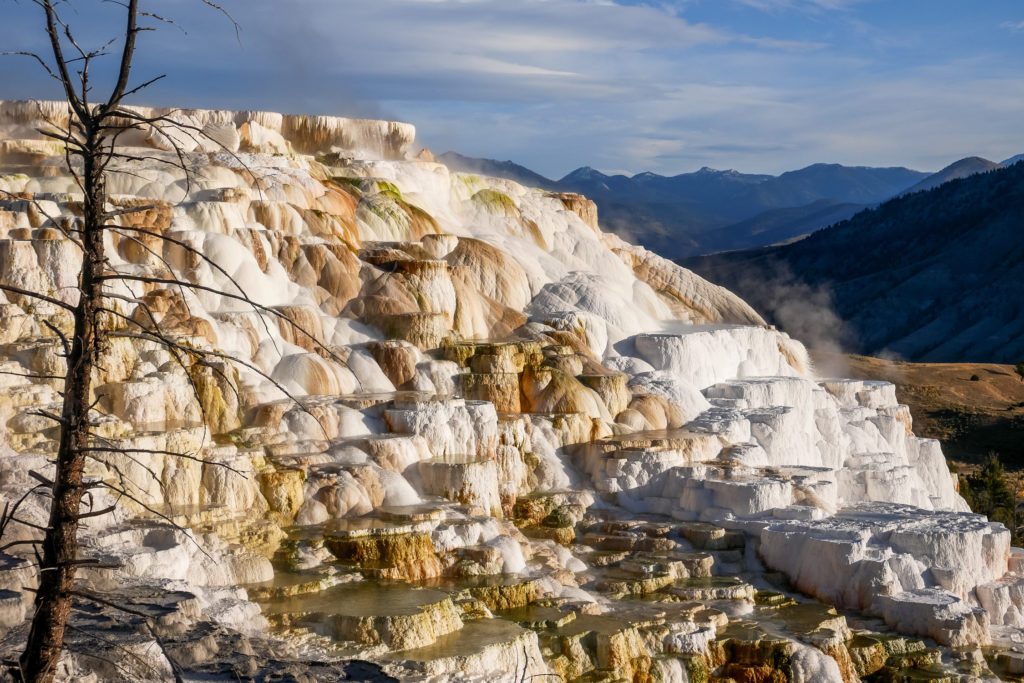 mammoth hot springs