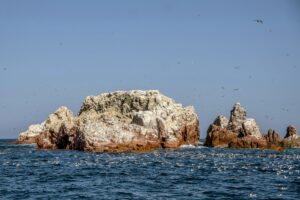 islas-ballestas Photo by Diego Allen on Unsplash